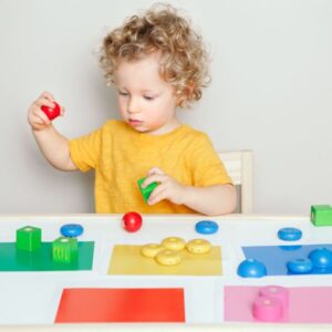 img of a child sorting colors