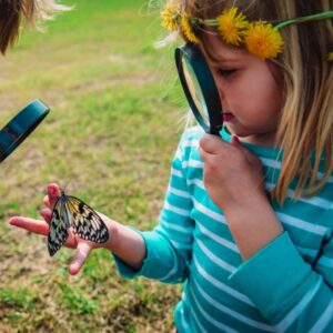 img of a child looking at a butterfly